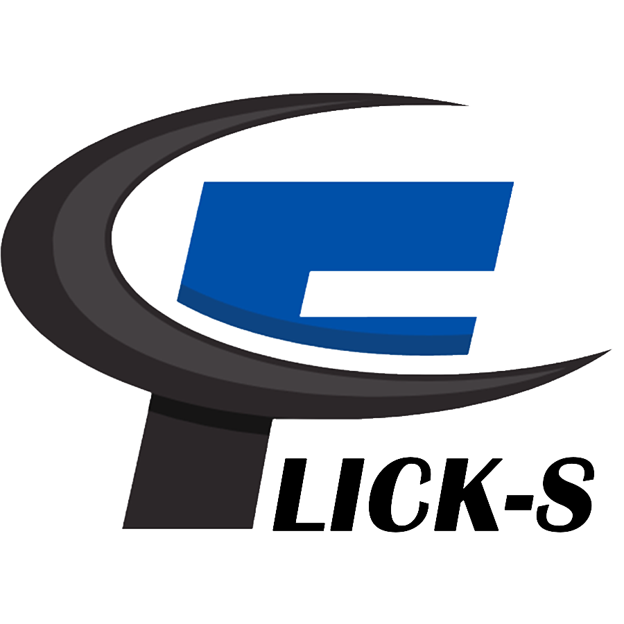 FLICK-S